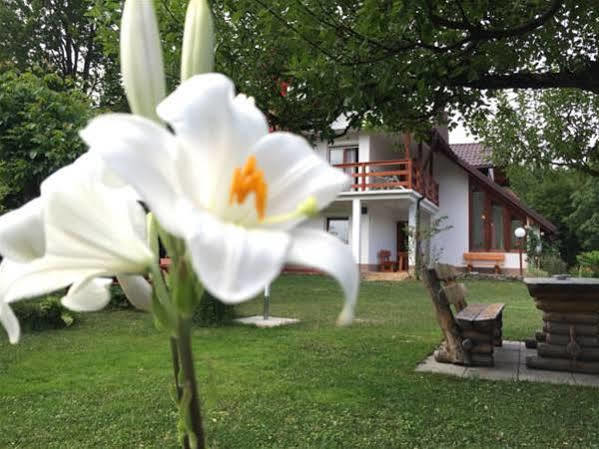 House Samardzic Hotel Jezerce Bagian luar foto